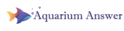 aquariumanswer.com